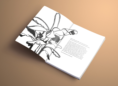 Bananeira não dá pera